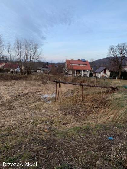 Pogłębienie stawu
