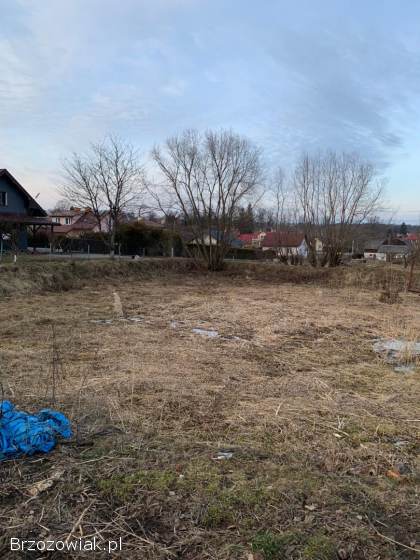 Pogłębienie stawu