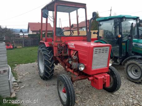 Władimirec t25 zarejestrowany