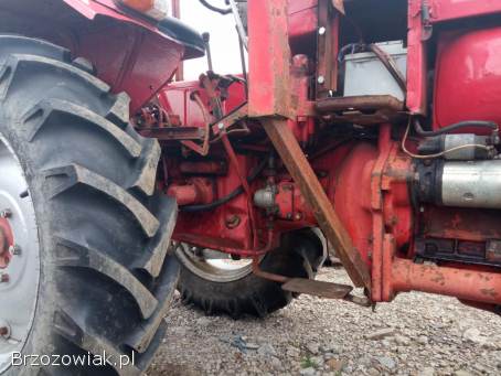 Władimirec t25 zarejestrowany