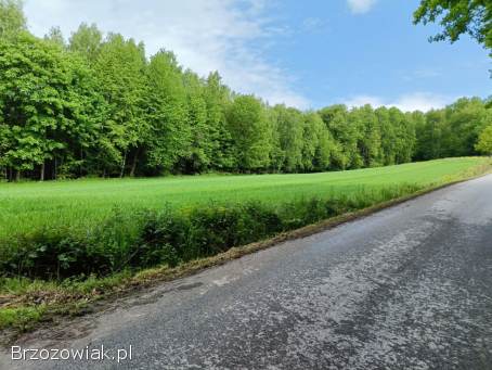 1,  11 ha działka rolna w Gwoźnicy Górnej
