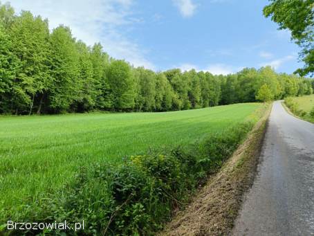 1,  11 ha działka rolna w Gwoźnicy Górnej