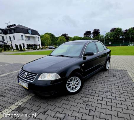 Volkswagen Passat Fl 2002