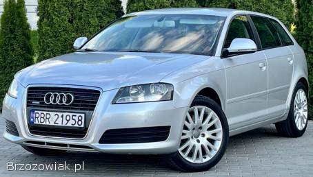 Audi A3 8p quattro 2010