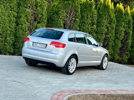 Audi A3 8p quattro 2010