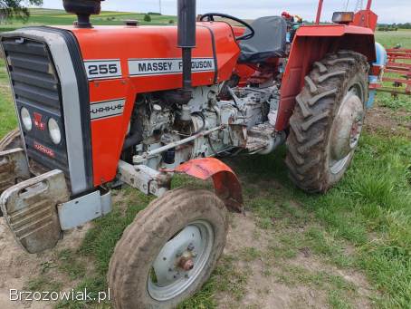 Massey ferguson 255