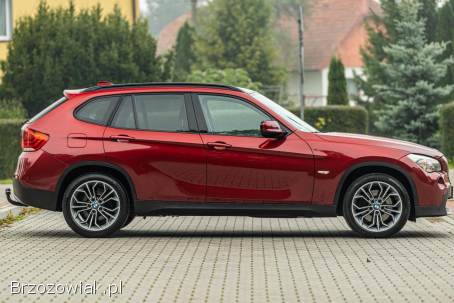 BMW X1 2010