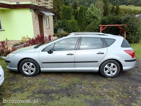 Peugeot 407 Sw 2005