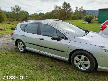 Peugeot 407 Sw 2005