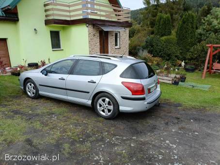 Peugeot 407 Sw 2005