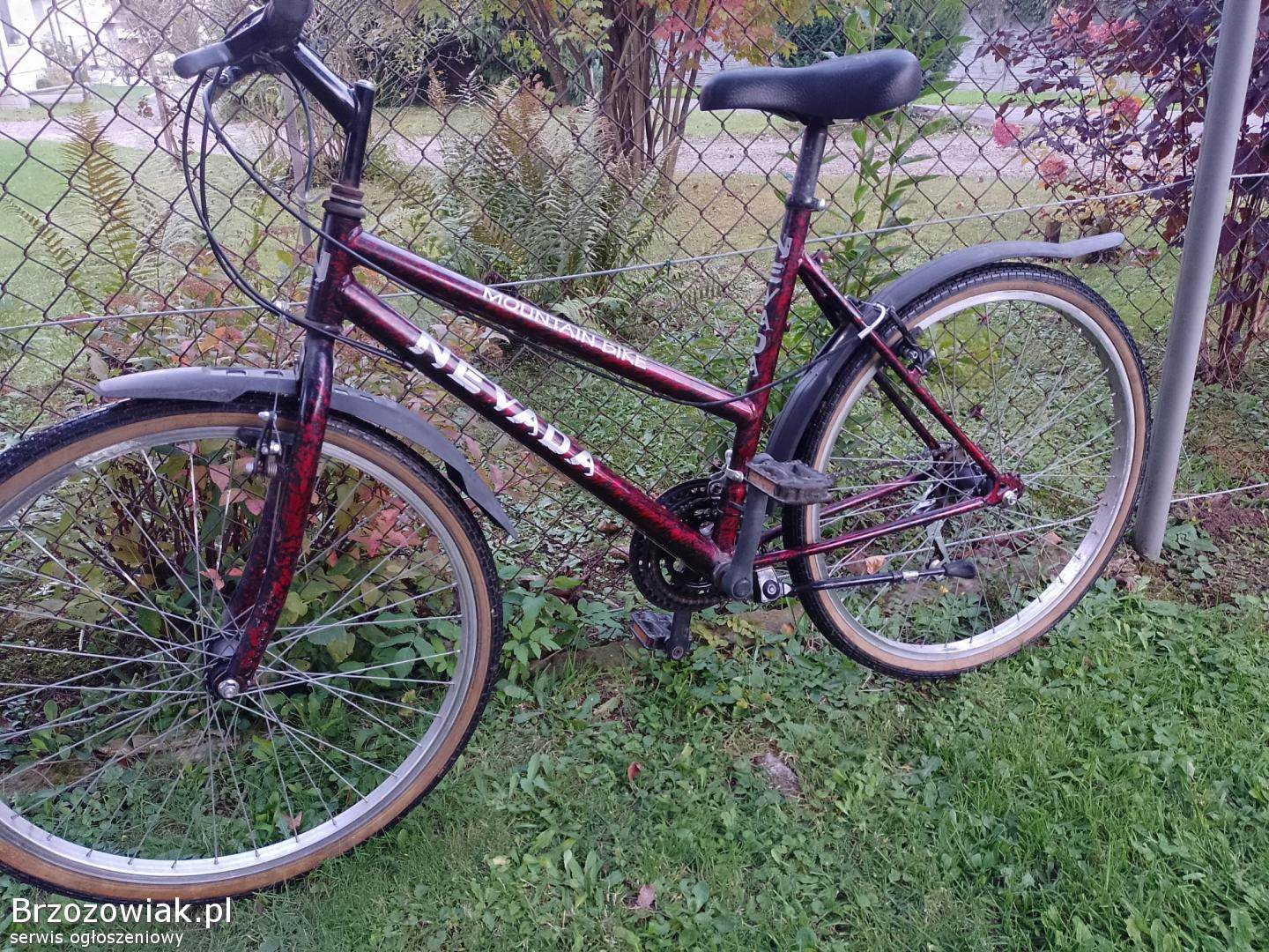 Rower damka koła 26