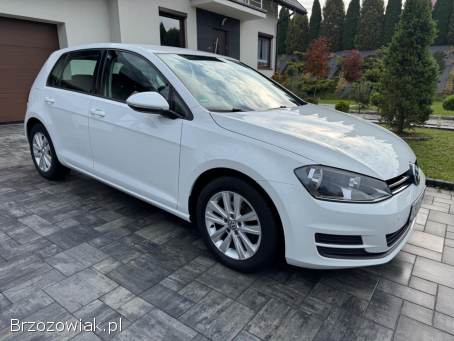 Volkswagen Golf VII  2012