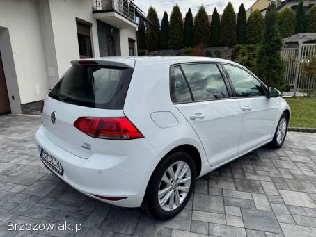 Volkswagen Golf VII  2012