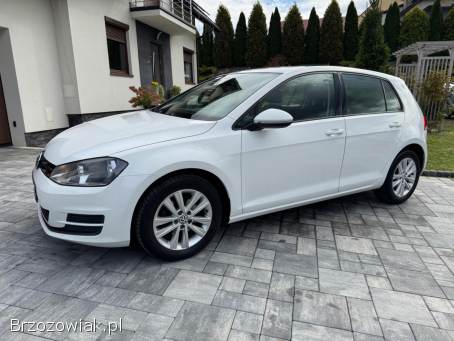 Volkswagen Golf VII  2012