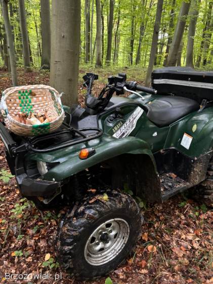 Quad 4x4 Yamaha Grizzly 700 EPS