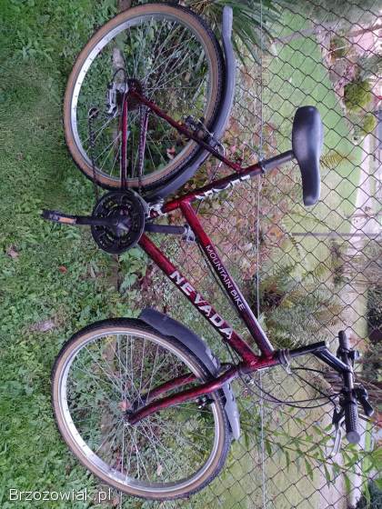 Rower damka koła 26