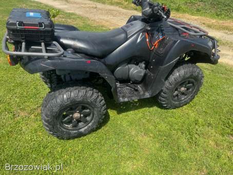 Quad Kawasaki brute force 750