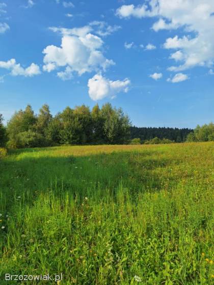 Atrakcyjna działka -  Golcowa -  27 arów