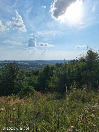 Atrakcyjna działka -  Golcowa -  27 arów