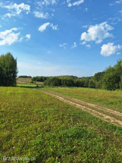 Atrakcyjna działka -  Golcowa -  27 arów