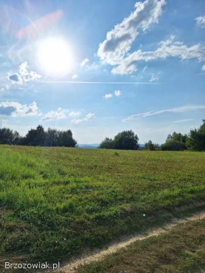 Atrakcyjna działka -  Golcowa -  27 arów