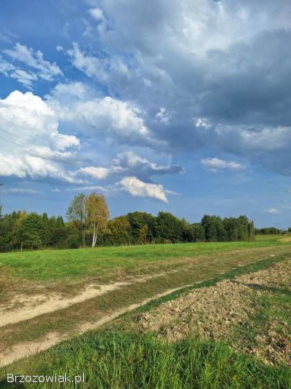 Atrakcyjna działka -  Golcowa -  27 arów