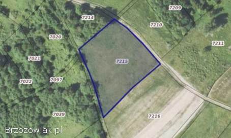 Atrakcyjna działka -  Golcowa -  27 arów