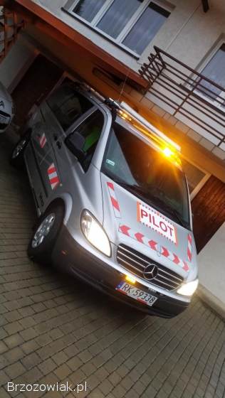 Mercedes-Benz Vito 115 cdi 2005