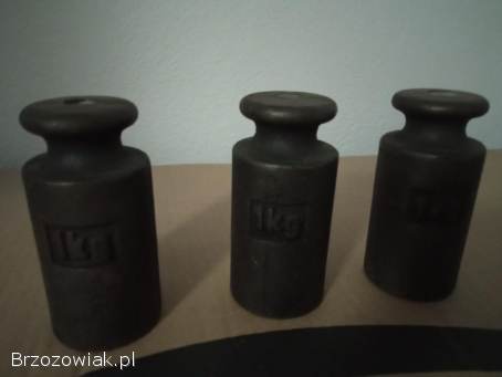 Stalowy odważnik (ciężarek) do wagi szalkowej