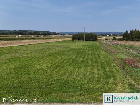 Działka budowlana w Moderówce pow.  krośnieński