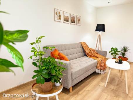 Mieszkanie po generalnym remoncie -  zamiana lub sprzedaż