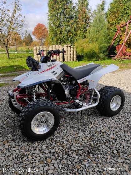 Yamaha warrior 350