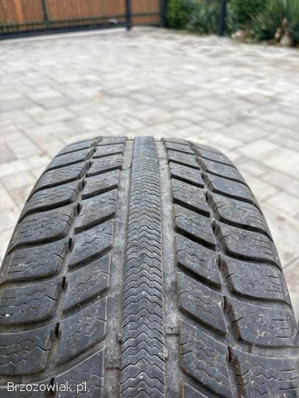 Opony michelin primacy alphin 225/55r16