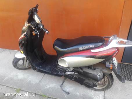 Benzer Benzhou Benzhou  2006