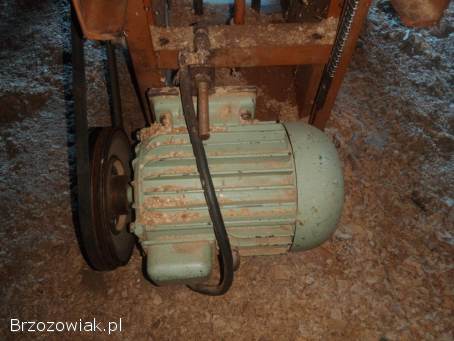 Heblarka grubościówka