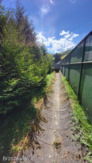 CIĘCIE ROŚLIN Z WYWOZEM