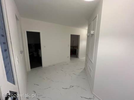 Szpachlowanie,  podwieszane sufity,  zabudowa poddaszy,  malowanie