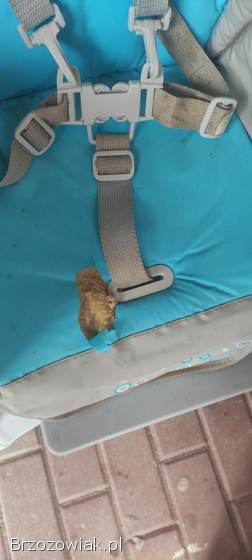 Krzesło do karmienia