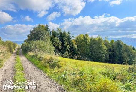 Wołkowyja -  działka na wzgórzu