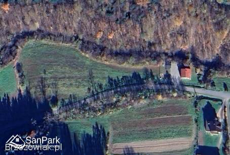 Wołkowyja -  przy drodze