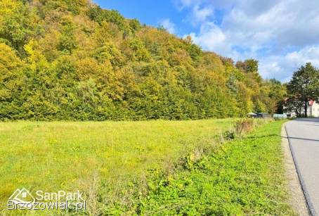 Wołkowyja -  przy drodze