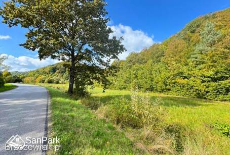 Wołkowyja -  przy drodze