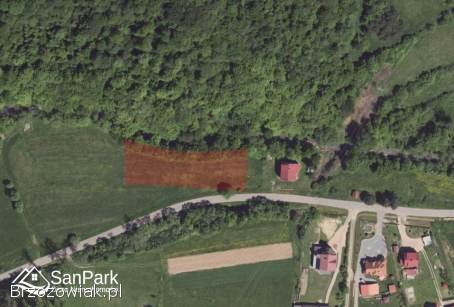 Wołkowyja -  przy drodze