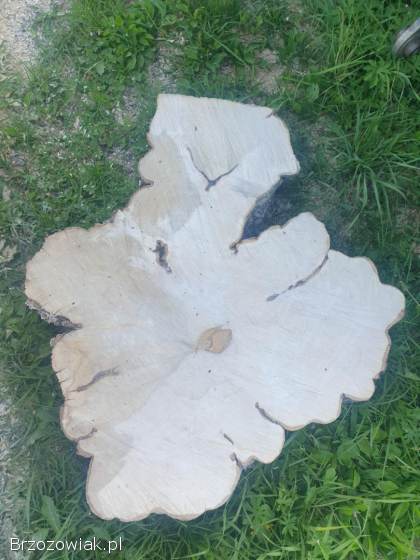 Plastry z drzewa pnia grab stolik żywica