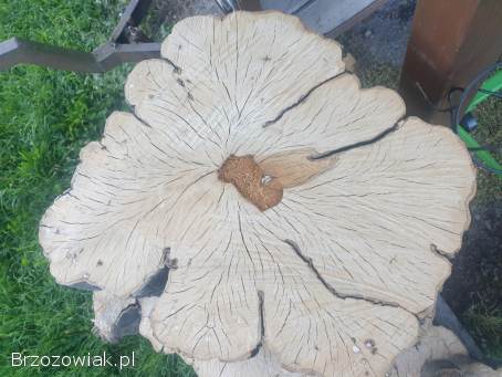 Plastry z drzewa pnia grab stolik żywica