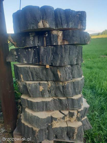 Plastry z drzewa pnia grab stolik żywica