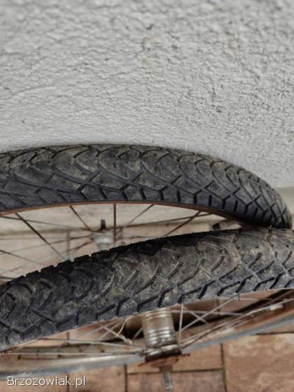 Opony i dętki 20 cali.