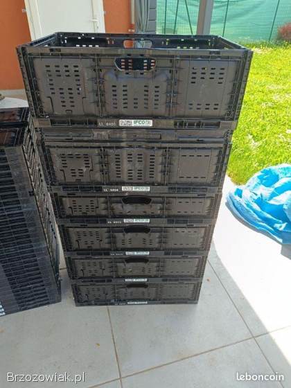 Sprzedam skrzynki plastikowe ifco