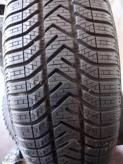 Fegi 15 Golf,  Golf Plus