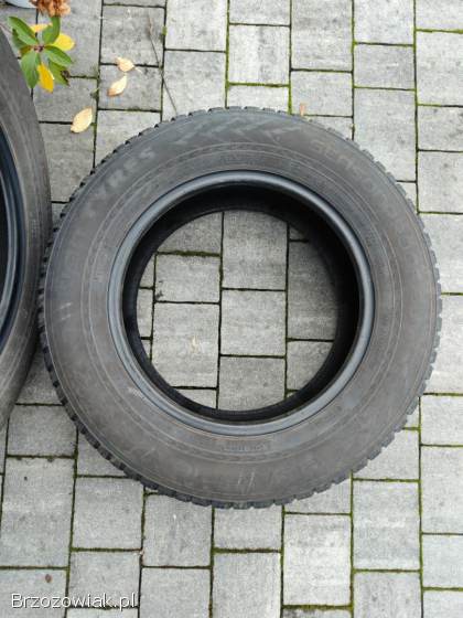 Opony Nokian Seasonproof 215/65 R16 – Całoroczne Premium
